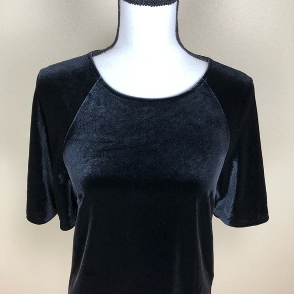 Lauren Ralph Lauren Velvet Short Sleeve Top Womens Petite Size PS Gray Pullover - Picture 2 of 7